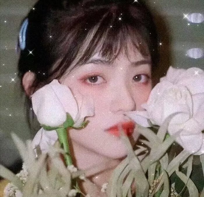 侦探米娜